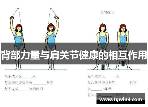 背部力量与肩关节健康的相互作用